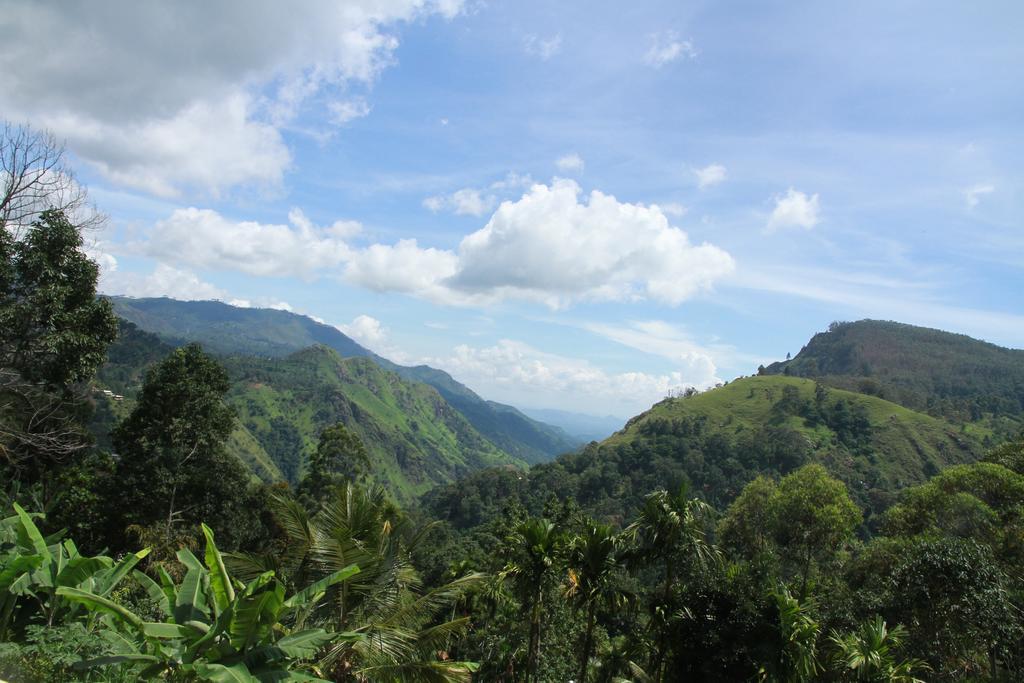 Ella Nature View Room photo